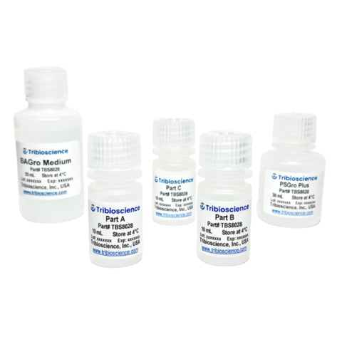 Tribioscience Tribo™ Brown Adipocyte Differentiation Kit (TBS8028)