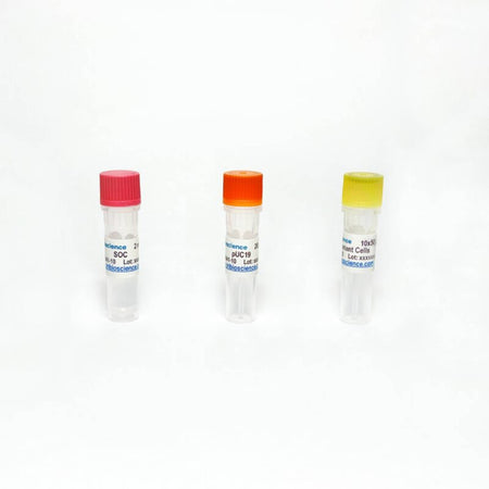 Tribioscience DH5α Competent Cell (10×50 uL), >10^9 (TBS8041)