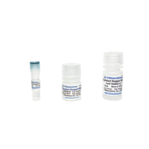 Tribioscience TransReagent (Transfection Reagent) Maxi (TBS8042)