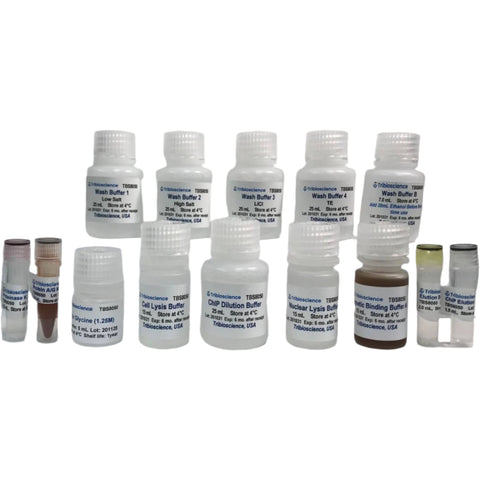 Tribioscience Tribo™ Chromatin Immunoprecipitation (ChIP) Assay Kit