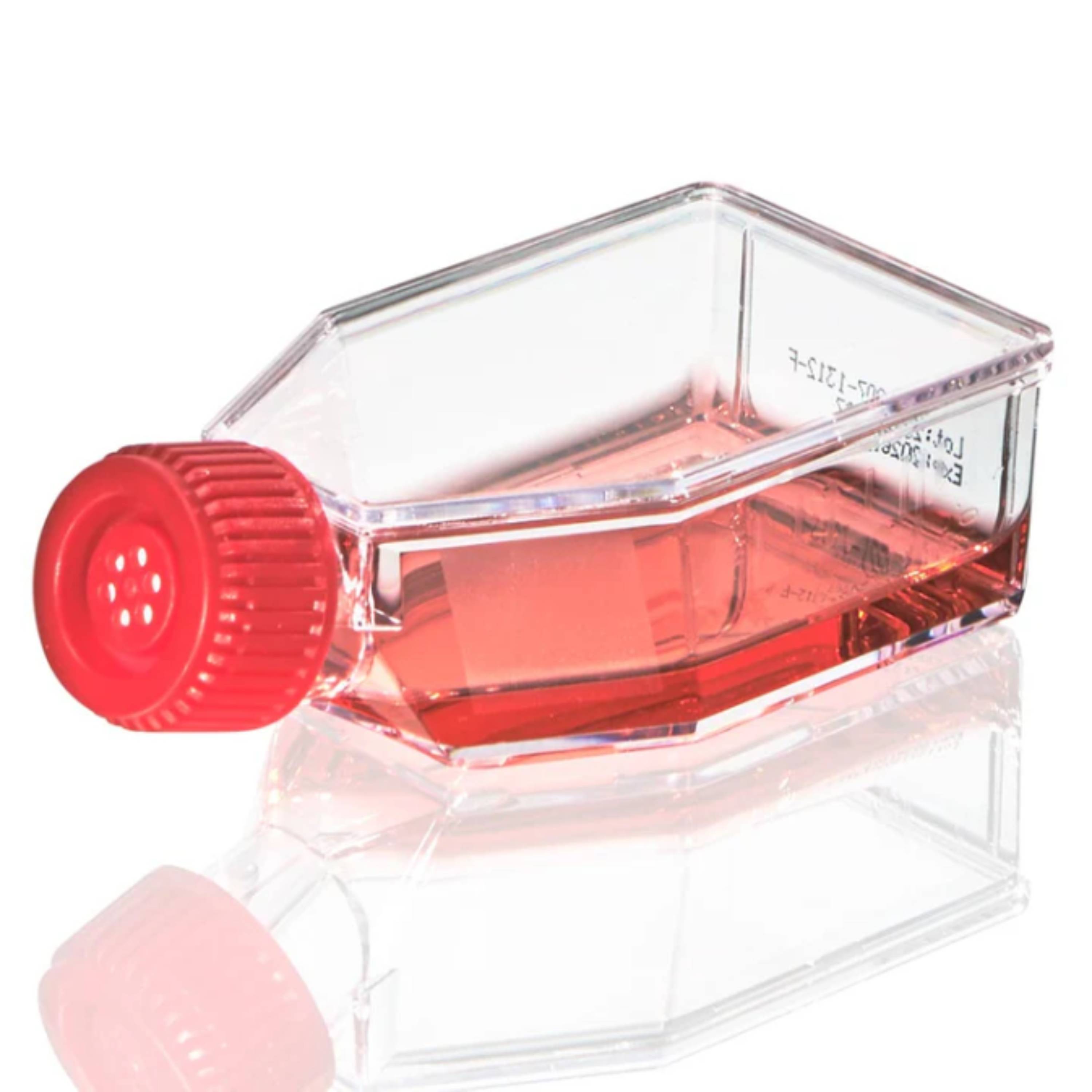 Globe Scientific Cell Culture Flask, Non-Treated, 600mlvent Cap, Sterile, 5/Bag, 40/Case