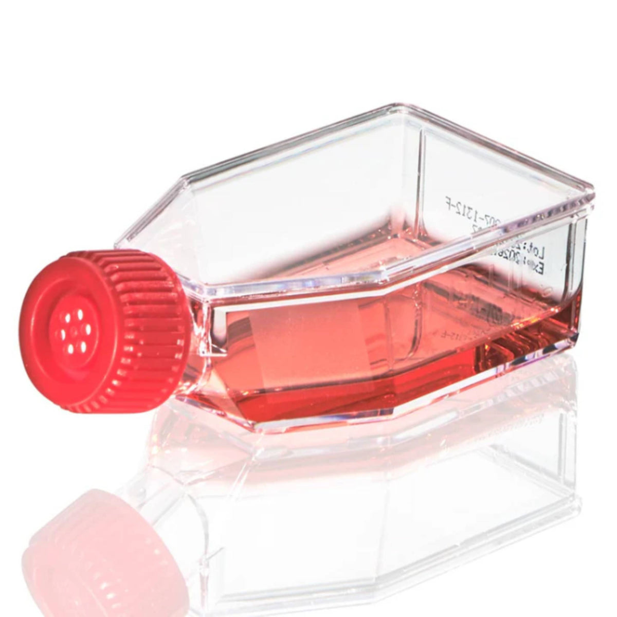 Globe Scientific Cell Culture Flask, TC Treated, 225cm2plug Cap, Sterile, 5/Bag, 25/Case