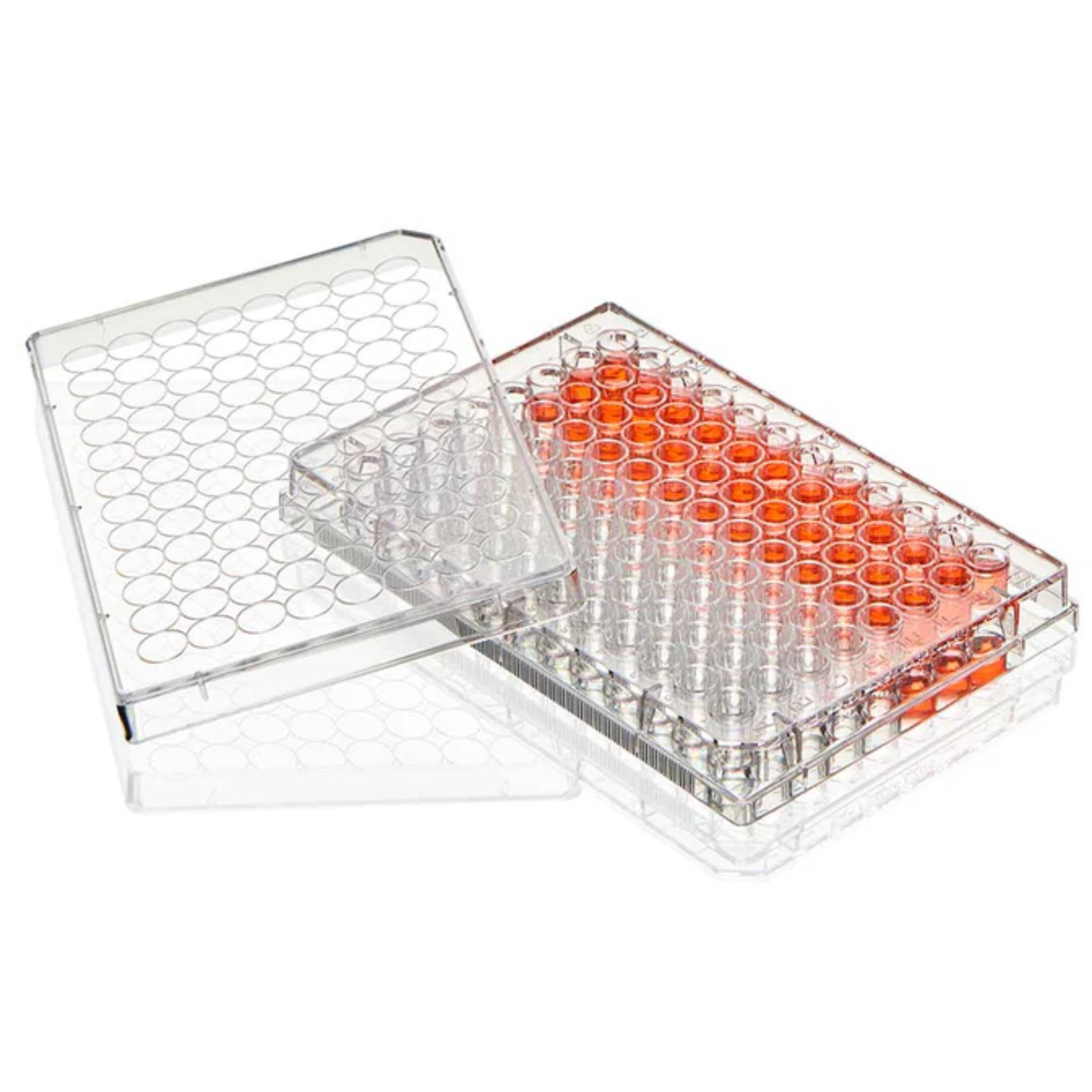 Globe Scientific Multiple Well Plate, 48 Well, TC Treatedflat Bottom, Sterile, 1/Pack, 50/Box