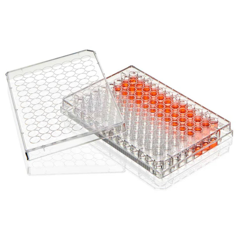 Globe Scientific Multiple Well Plate, 48 Well, TC Treatedflat Bottom, Sterile, 1/Pack, 50/Box