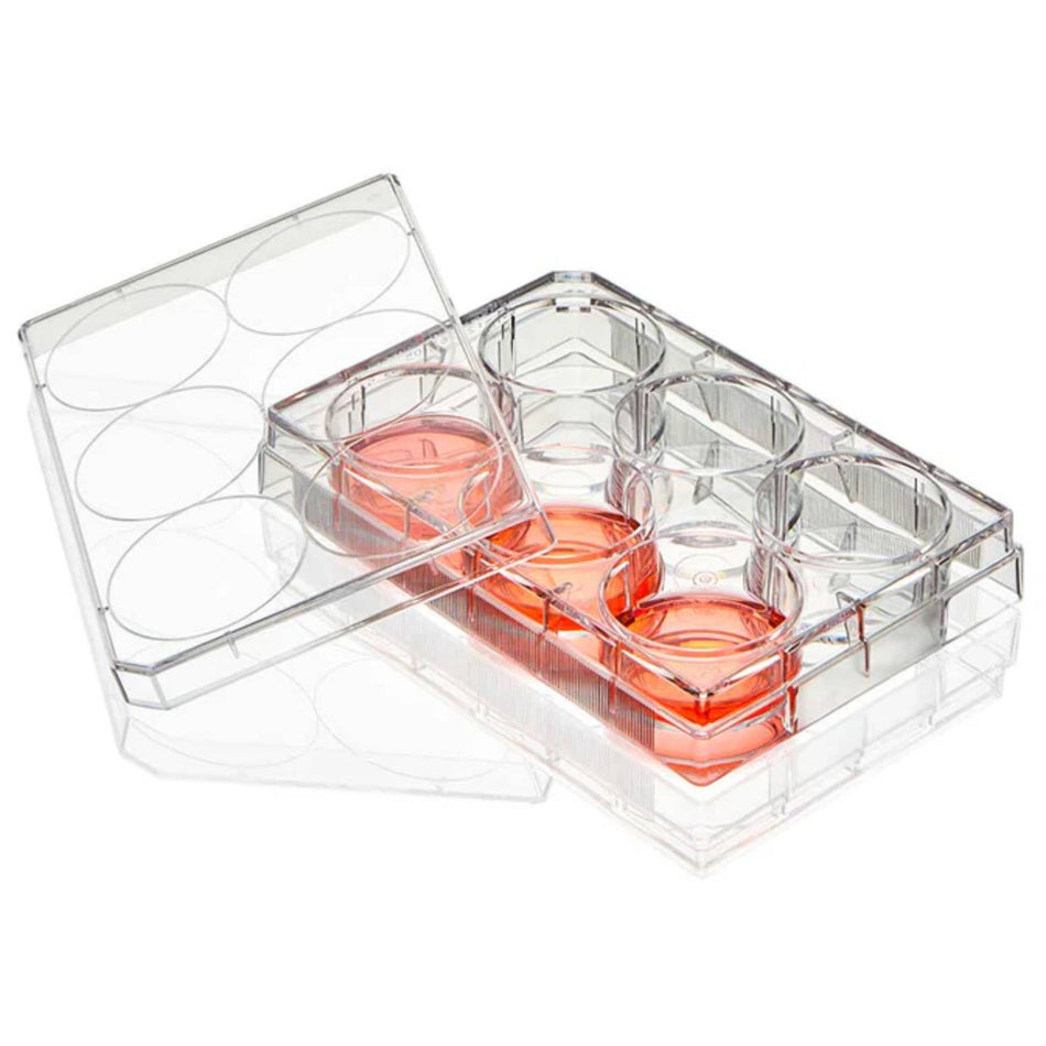 Globe Scientific Multiple Well Plate, 6 Well, TC Treatedflat Bottom, Sterile, 1/Pack, 50/Box