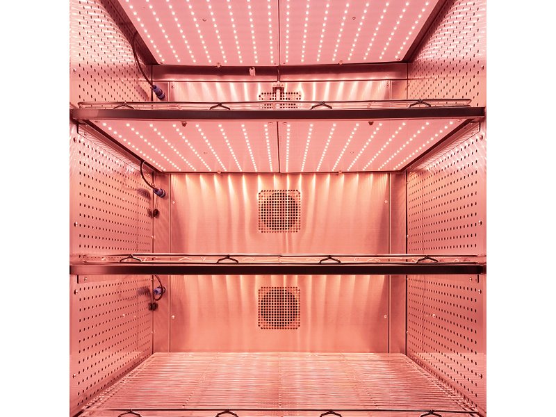 JIUPO 800L Tissue Culture Chamber, Incubators and Environmental Chambers, JIUPO, MSE Supplies