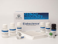 TXA2(Thromboxane A2) ELISA Kit, Cell Assays, Elabscience Biotechnology, MSE Supplies