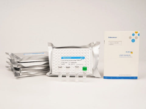 Uncoated Rat VWF(Von Willebrand Factor) ELISA Kit, Cell Assays, Elabscience Biotechnology, MSE Supplies