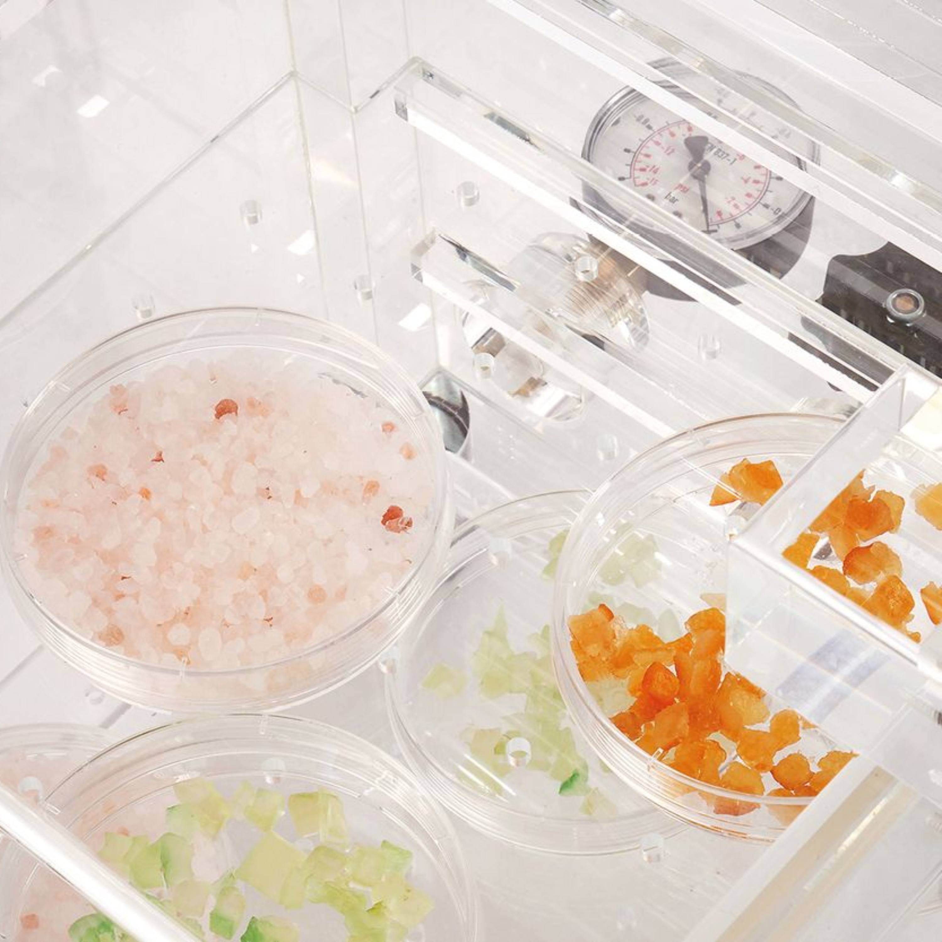 SICCO Vacuum Desiccator Toploader (W 250 × H 250 × D 250 mm) (PMMA)