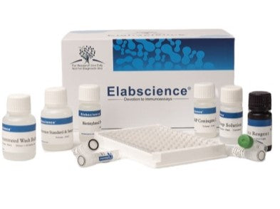 VB6(Vitamin B6) ELISA Kit, Cell Assays, Elabscience Biotechnology, MSE Supplies