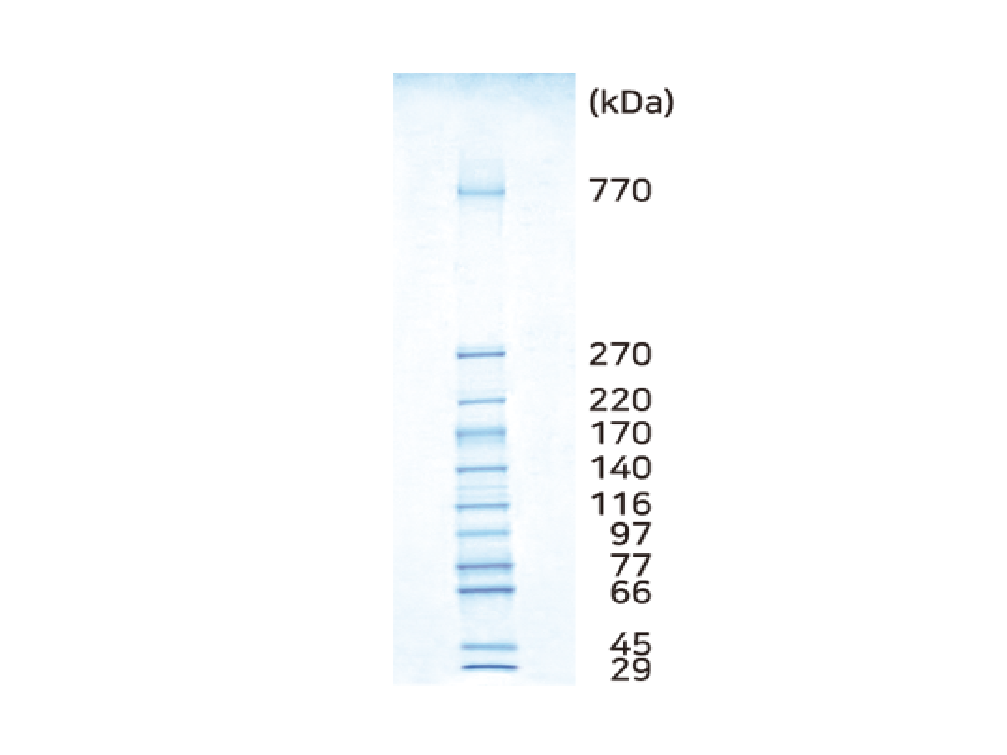 ATTO WSE-7035 EzStandard HMW - MSE Supplies LLC