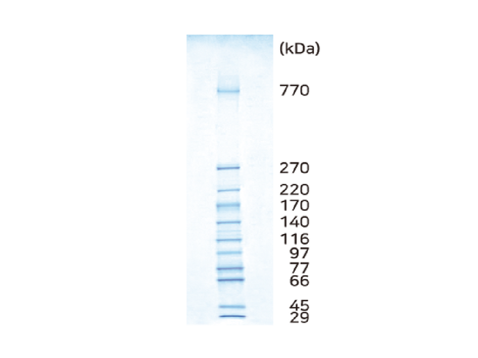 ATTO WSE-7035 EzStandard HMW - MSE Supplies LLC