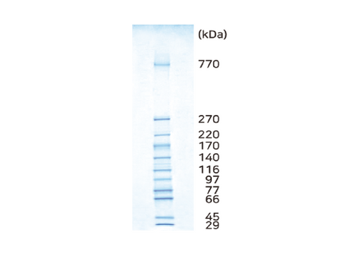 ATTO WSE-7035 EzStandard HMW - MSE Supplies LLC