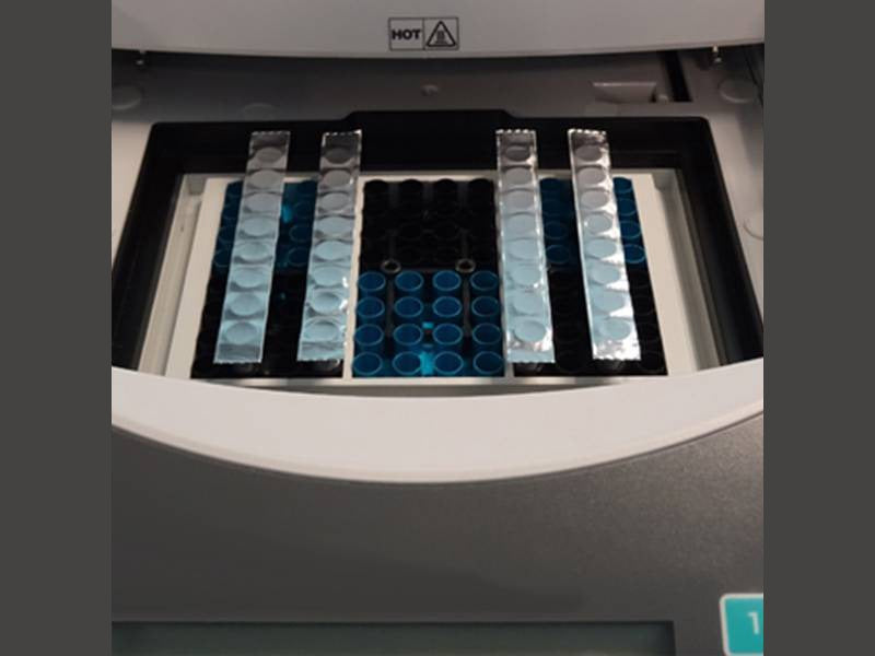 Biologix Sealing Films EZcap FoilStrips 300 Strips