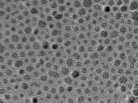 MSE PRO Oleic Acid Coated Magnetic Fe<sub>3</sub>O<sub>4</sub> Nanoparticle Dispersion, 1mg/mL, Chemicals and Compounds, MSE Supplies LLC, MSE Supplies
