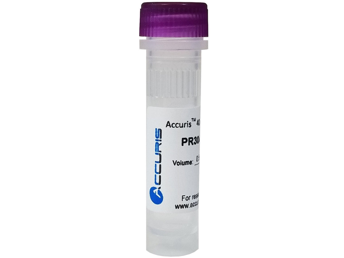 Accuris dNTPs (Available as Individual or Mixed), Reagents, Accuris, MSE Supplies