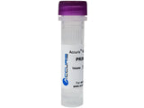 Accuris dNTPs (Available as Individual or Mixed), Reagents, Accuris, MSE Supplies