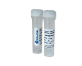 Accuris High Fidelity Taq Polymerase (Supplied Separate from Buffer or with 2X Master Mix), Reagents, Accuris, MSE Supplies