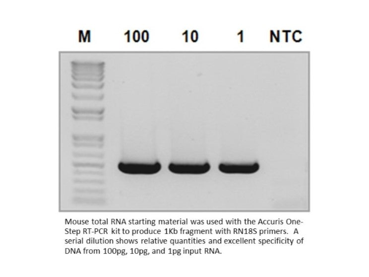 Accuris One-Step RT-PCR Kit, Reagents, Accuris, MSE Supplies