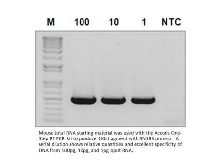 Accuris One-Step RT-PCR Kit, Reagents, Accuris, MSE Supplies
