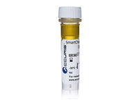 Accuris SmartCheck DNA Ladder, Reagents, Accuris, MSE Supplies