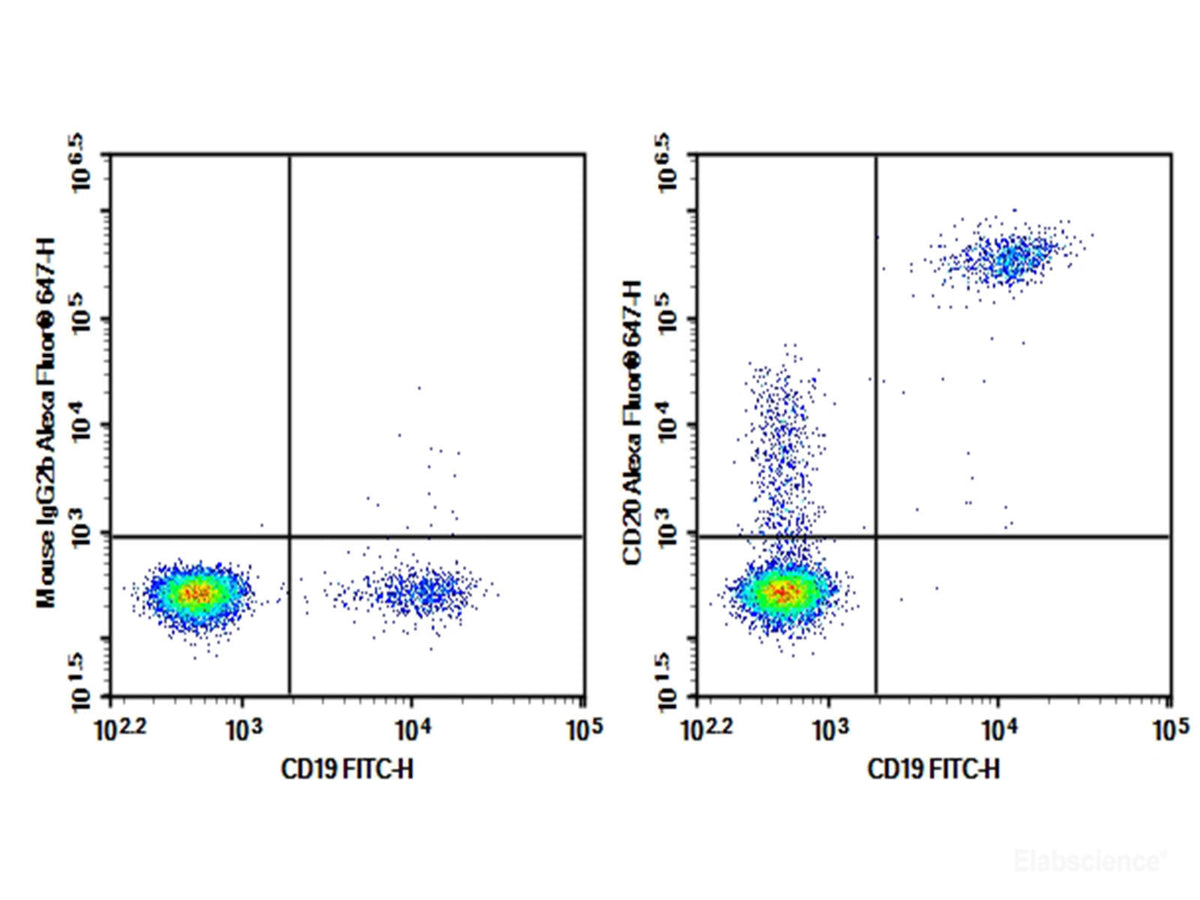 AF/LE Purified Anti-Human CD20 Antibody[2H7], Biomarkers, Elabscience Biotechnology, MSE Supplies