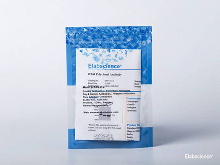 AF/LE Purified Anti-Human CD28 Antibody[CD28.2], Biomarkers, Elabscience Biotechnology, MSE Supplies