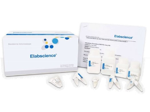 Angiotensin I Converting Enzyme 2 (ACE2) Inhibitor Screening Kit, Cell Assays, Elabscience Biotechnology, MSE Supplies