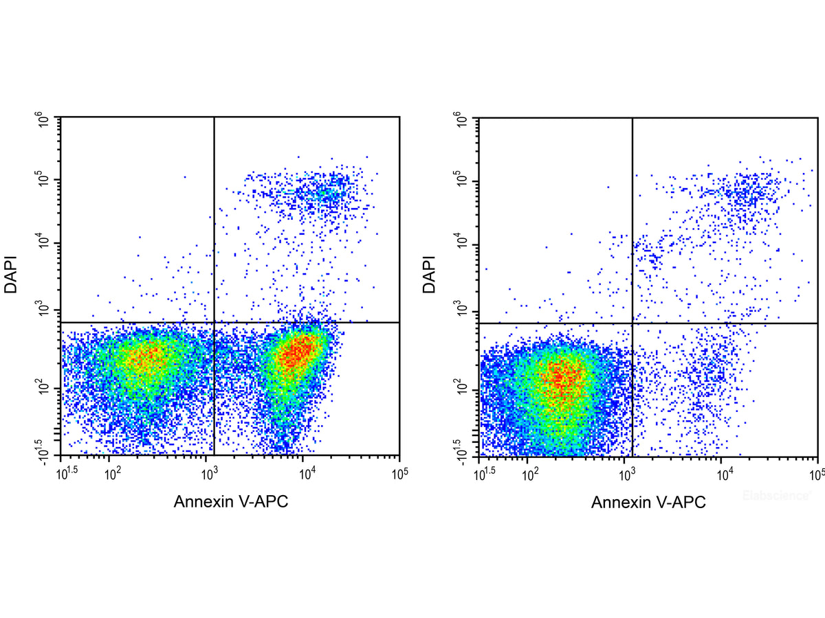 Apc Lab Annexin V-APC/DAPI Apoptosis Kit – MSE Supplies