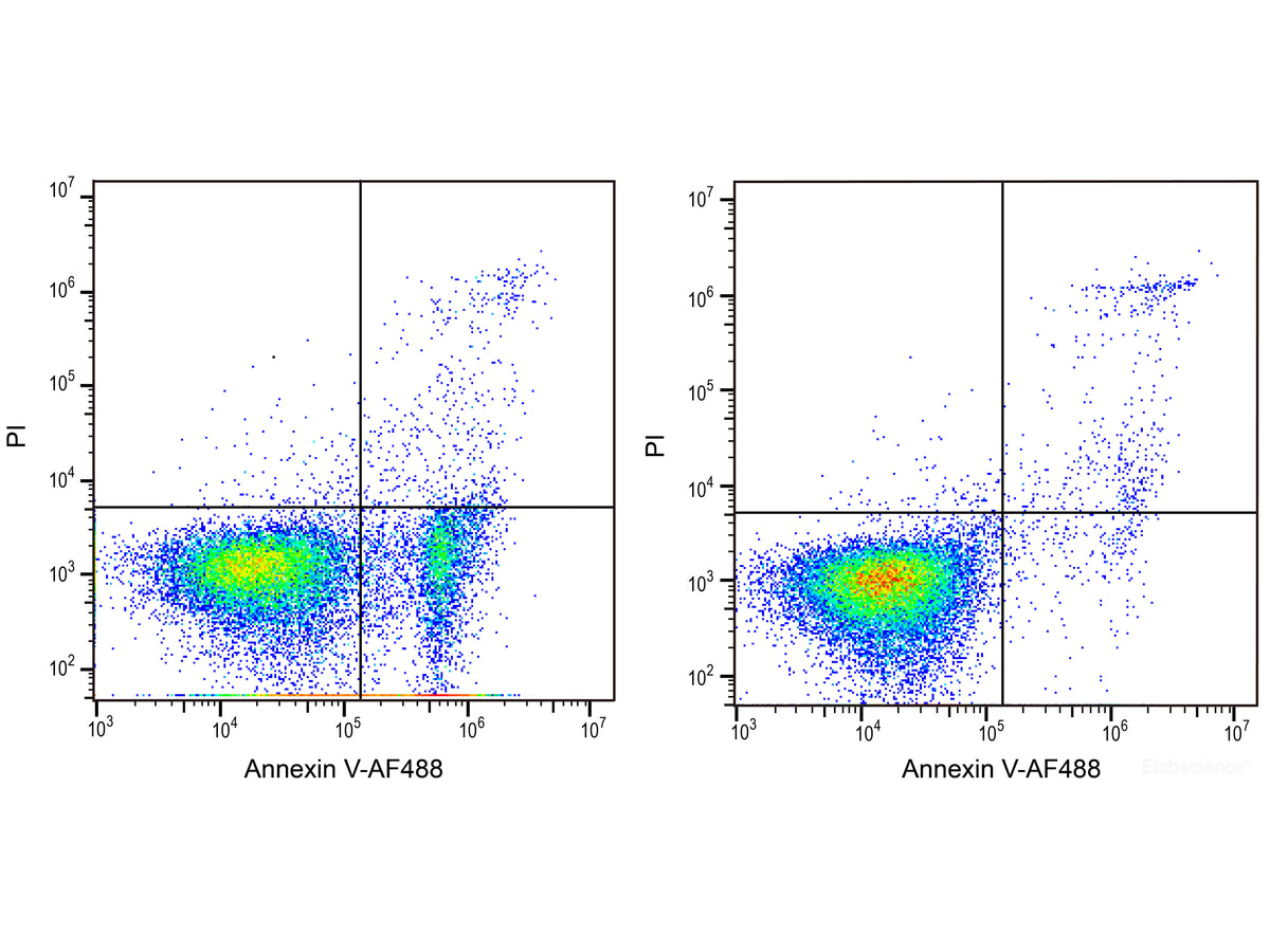 Annexin V-Elab Fluor® 488/PI Apoptosis Kit, Cell Assays, Elabscience Biotechnology, MSE Supplies