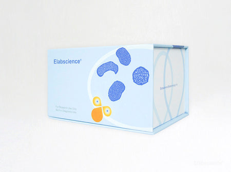 Annexin V-Elab Fluor® 488/PI Apoptosis Kit, Cell Assays, Elabscience Biotechnology, MSE Supplies