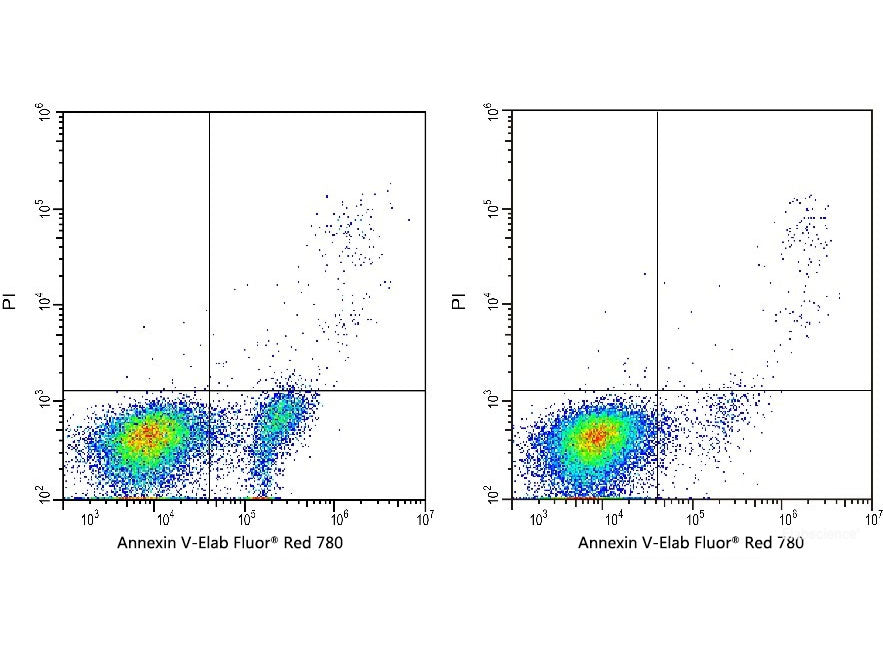 Annexin V-Elab Fluor® Red 780/PI Apoptosis Kit, Cell Assays, Elabscience Biotechnology, MSE Supplies