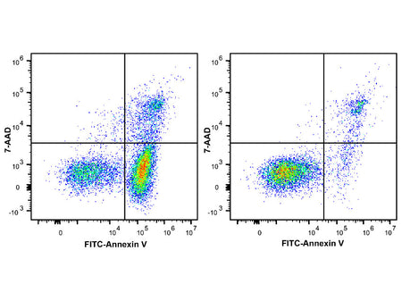 Annexin V-FITC/7-AAD Apoptosis Kit, Cell Assays, Elabscience Biotechnology, MSE Supplies