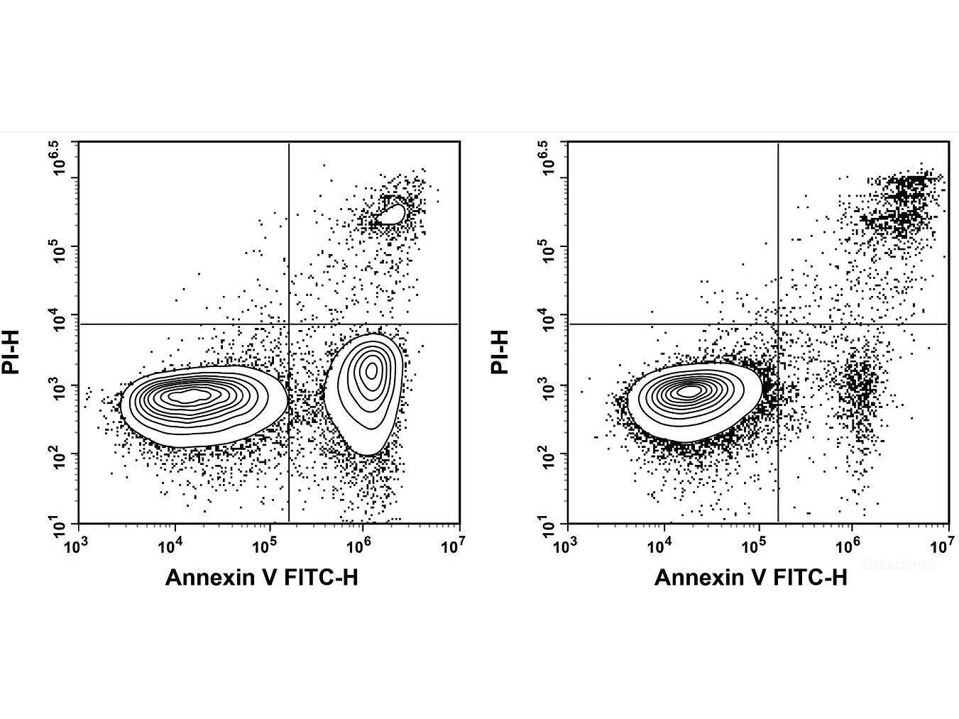 Annexin V-FITC Azide-Free Lyophilized Powder, Cell Assays, Elabscience Biotechnology, MSE Supplies