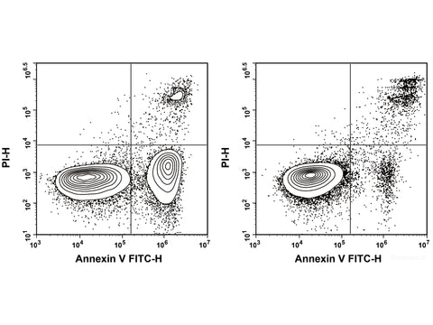 Annexin V-FITC/PI Apoptosis Kit, Cell Assays, Elabscience Biotechnology, MSE Supplies