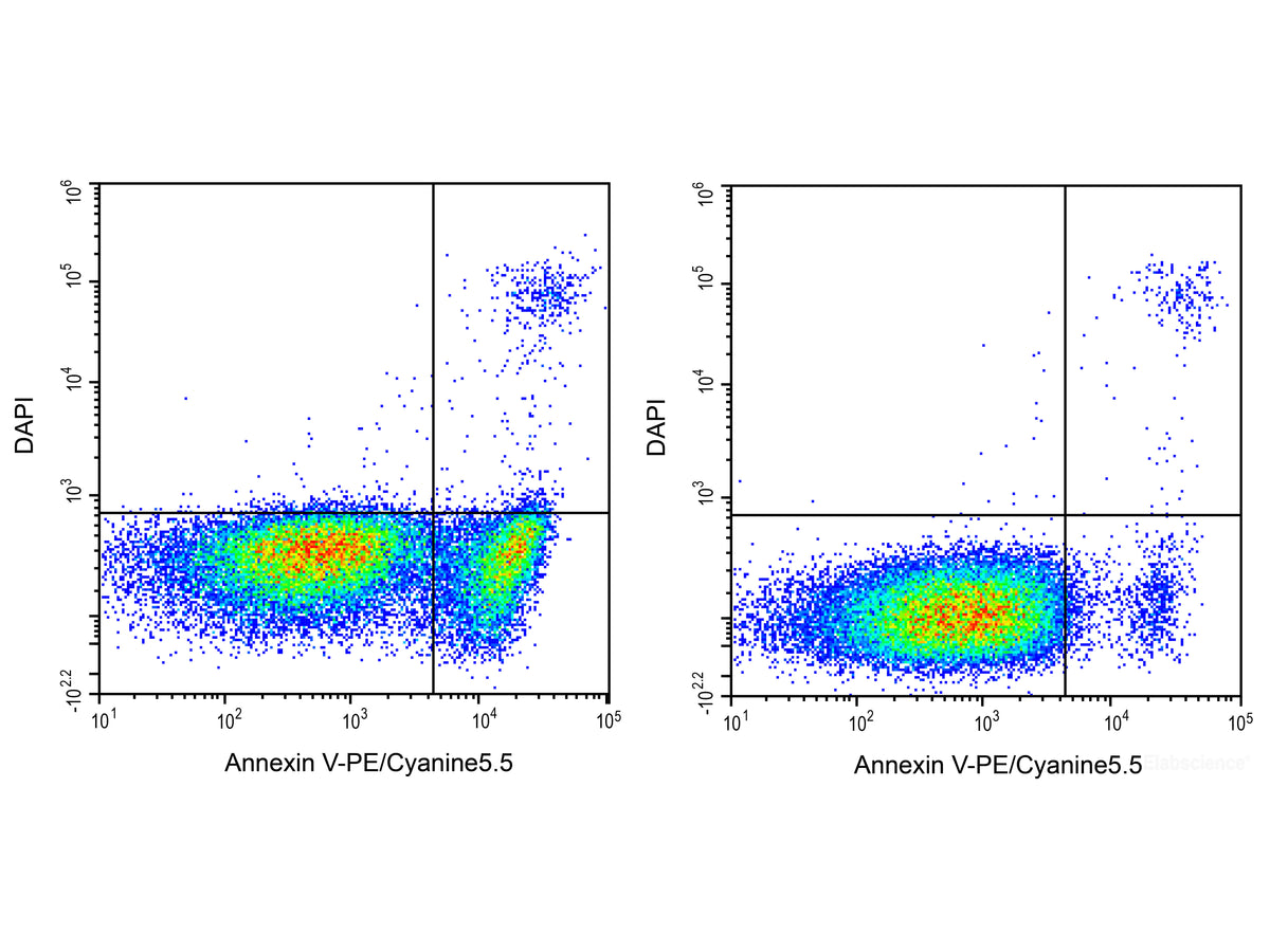 Annexin V-PE/Cyanine5.5/DAPI Apoptosis Kit, Cell Assays, Elabscience Biotechnology, MSE Supplies