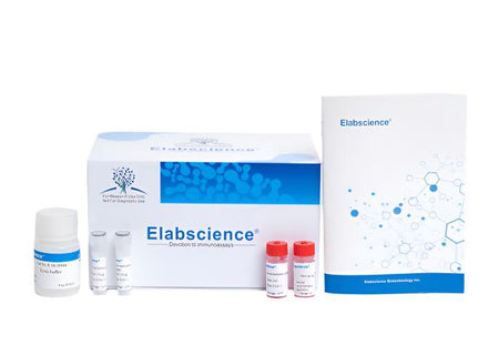 Anti-V5(GKPIPNPLLGLDST)  FAST IP kit(Agarose), Biomarkers, Elabscience Biotechnology, MSE Supplies