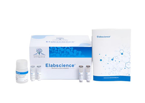 Anti-V5(GKPIPNPLLGLDST)  FAST IP kit(Beads), Biomarkers, Elabscience Biotechnology, MSE Supplies