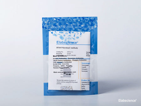 AF/LE Purified Anti-Human HLA-A,B,C Antibody[W6/32], Biomarkers, Elabscience Biotechnology, MSE Supplies