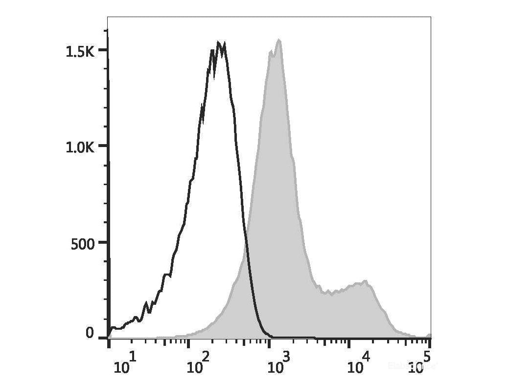 Elab Fluor® 488 Anti-Human CD105 Antibody[SN6], Biomarkers, Elabscience Biotechnology, MSE Supplies