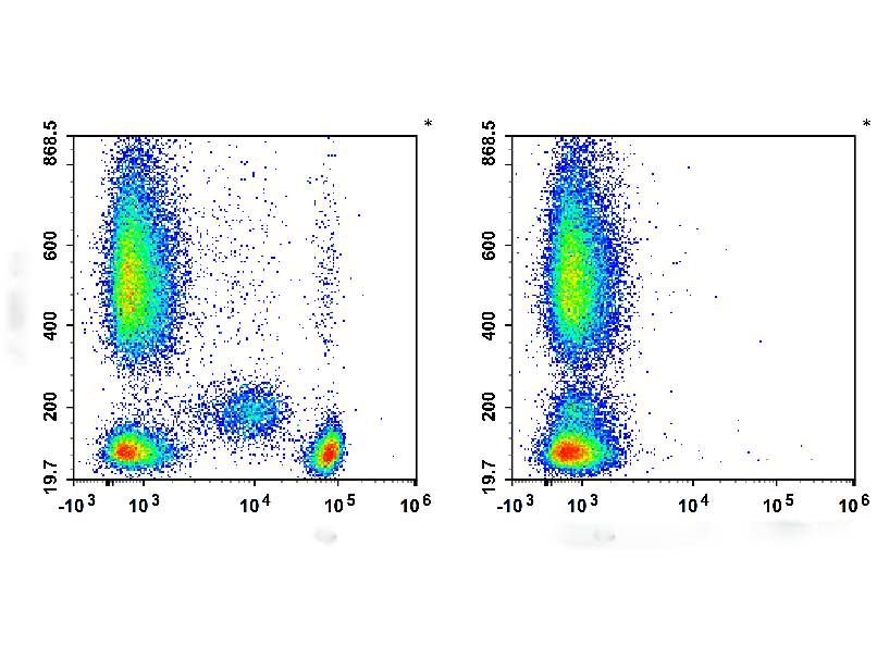 APC Anti-Human CD4 Antibody[SK3], Biomarkers, Elabscience Biotechnology, MSE Supplies