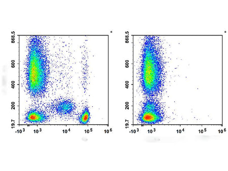 APC Anti-Human CD4 Antibody[SK3], Biomarkers, Elabscience Biotechnology, MSE Supplies