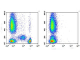 APC Anti-Human CD4 Antibody[SK3], Biomarkers, Elabscience Biotechnology, MSE Supplies