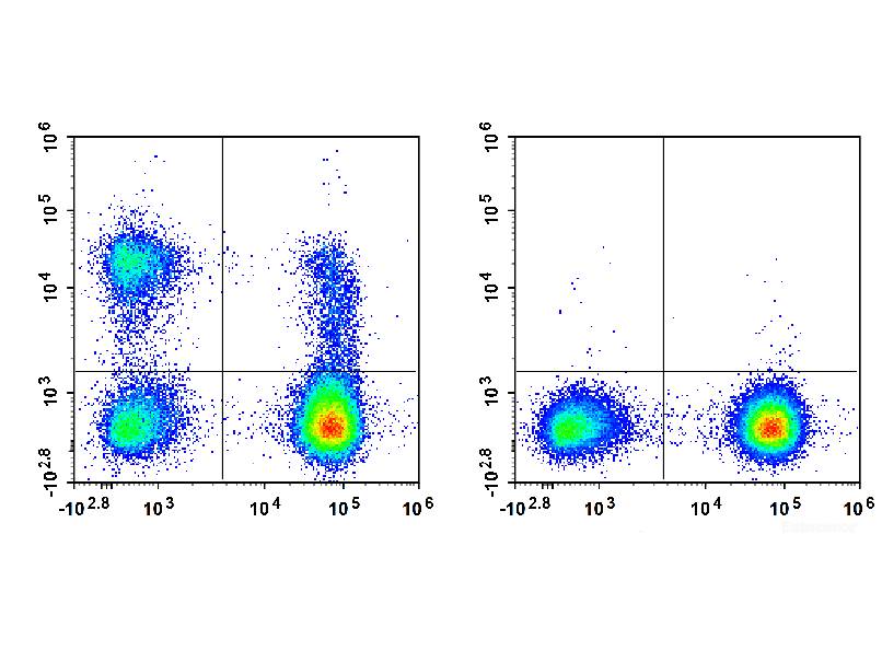 APC Anti-Human CD56/NCAM Antibody[B-A19], Biomarkers, Elabscience Biotechnology, MSE Supplies
