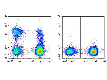 APC Anti-Human CD56/NCAM Antibody[B-A19], Biomarkers, Elabscience Biotechnology, MSE Supplies