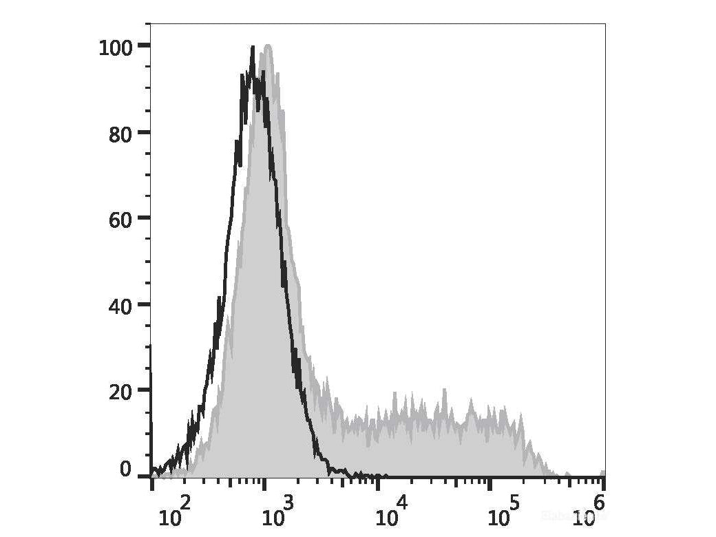 APC Anti-Mouse IL-4 Antibody[11B11], Biomarkers, Elabscience Biotechnology, MSE Supplies