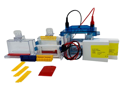 MSE PRO Mini Vertical Electrophoresis Tank, 1.5mm Glass Plate Types for Gel Casting, Gel Electrophoresis, MSE Supplies LLC, MSE Supplies