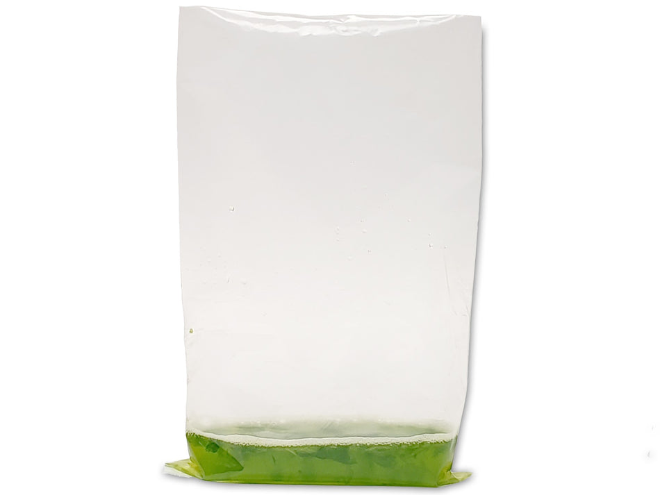 Benchmark BenchMasher Laboratory Bag Blender Bags, Homogenizers and Disintegrators, Benchmark Scientific, MSE Supplies