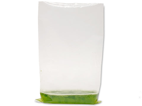 Benchmark BenchMasher Laboratory Bag Blender Bags, Homogenizers and Disintegrators, Benchmark Scientific, MSE Supplies