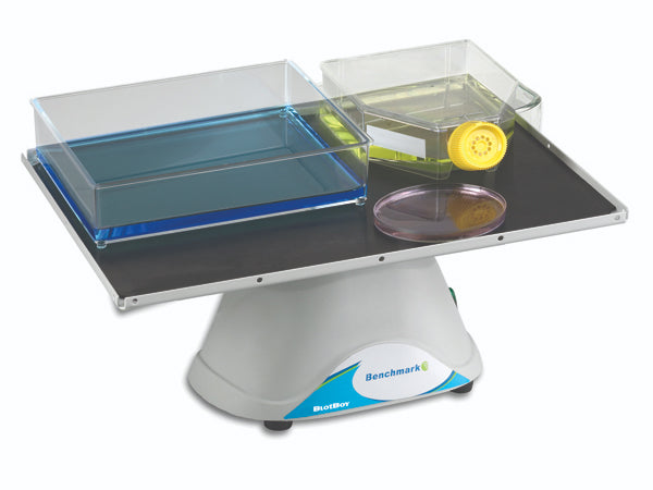 Benchmark BlotBoy 3D Rocker - MSE Supplies LLC